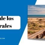 Playa de los Enebrales Punta Umbría: Un paraíso costero para disfrutar en España