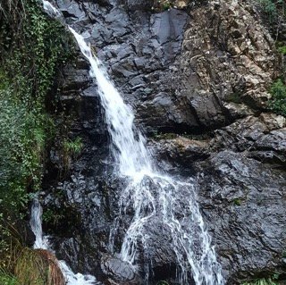Parque natural de Sierra de Aracena y Picos de Aroche4