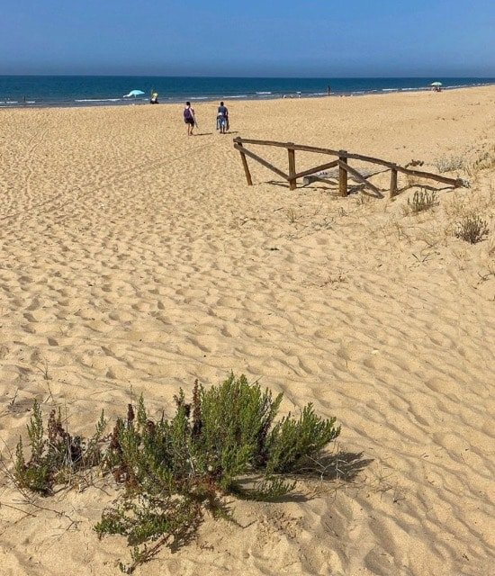 Nueva umbria playa